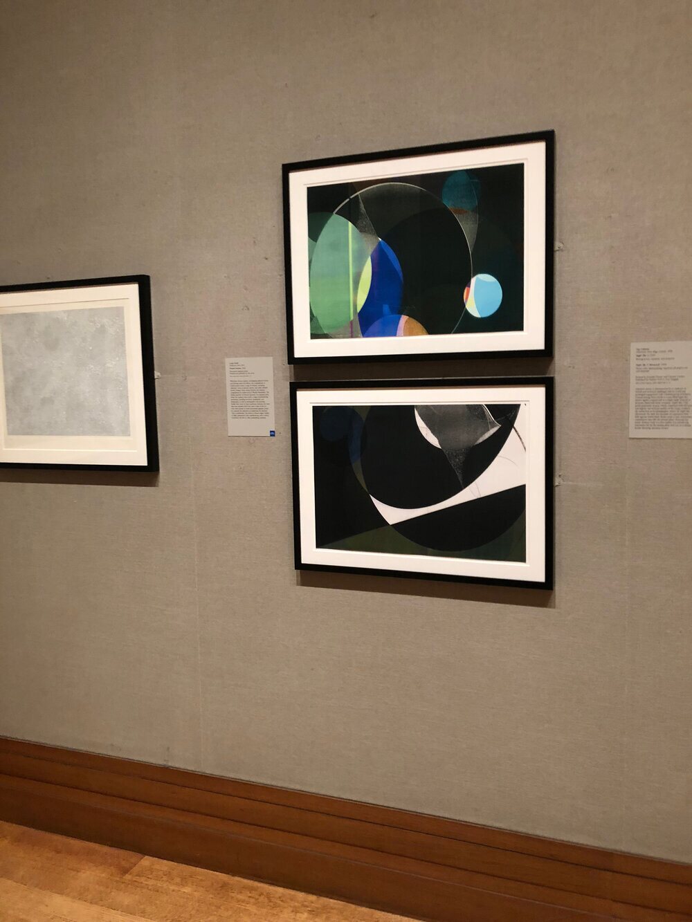 Lesley Schiff works installed in a museum gallery