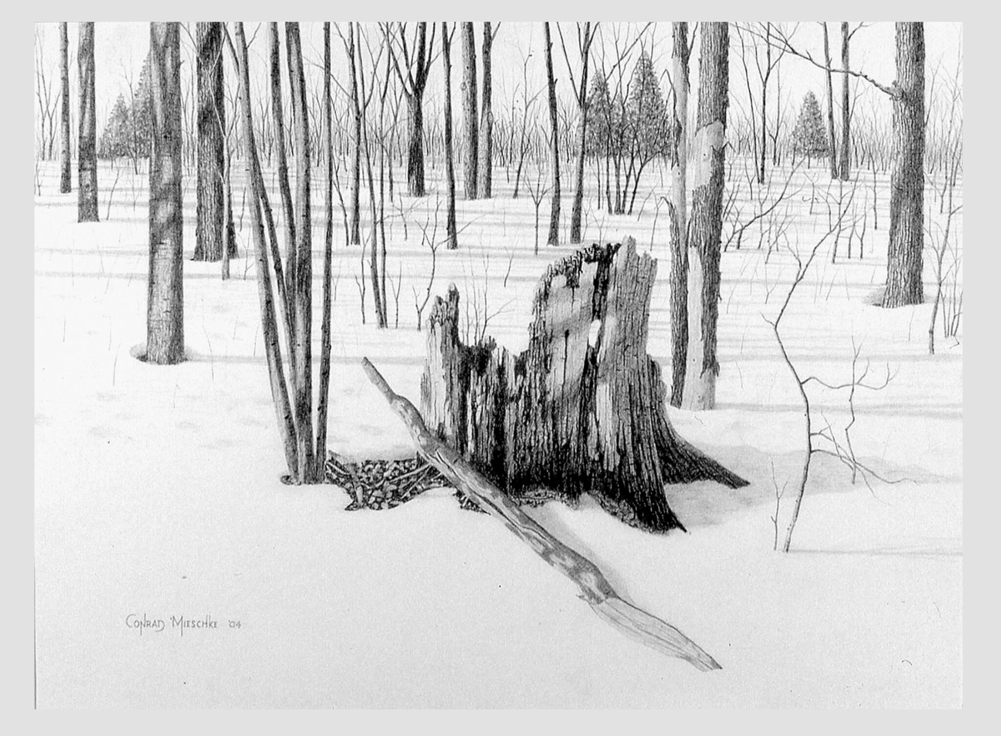 Forest study in winter by Conrad Mieschke