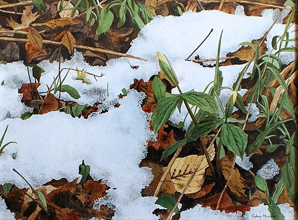Thawing ground and new growth by Conrad Mieschke